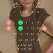 ヒメ日記 2025/11/03 10:17 投稿 さり ハピネス東京