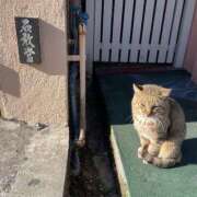 なお【即濡れ敏感彼女】 😭お詫び😭 Aris（アリス）☆超恋人空間☆沖縄最大級！！