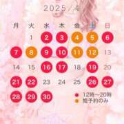 ヒメ日記 2025/03/17 20:15 投稿 西山　凛々子 白夜