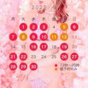 ヒメ日記 2025/04/02 17:30 投稿 西山　凛々子 白夜