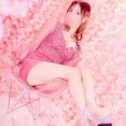 ヒメ日記 2025/04/10 09:51 投稿 西山　凛々子 白夜