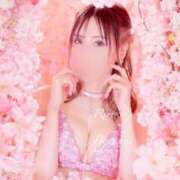 ヒメ日記 2025/04/12 21:48 投稿 西山　凛々子 白夜