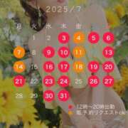 ヒメ日記 2025/06/14 23:45 投稿 西山　凛々子 白夜