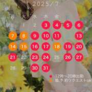 ヒメ日記 2025/06/26 21:00 投稿 西山　凛々子 白夜