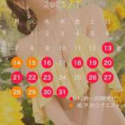 ヒメ日記 2025/07/11 17:43 投稿 西山　凛々子 白夜