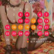 ヒメ日記 2025/08/18 21:00 投稿 西山　凛々子 白夜