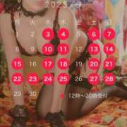 ヒメ日記 2025/08/23 17:59 投稿 西山　凛々子 白夜