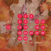 ヒメ日記 2025/09/29 12:03 投稿 西山　凛々子 白夜