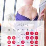 ヒメ日記 2025/12/31 16:45 投稿 西山　凛々子 白夜