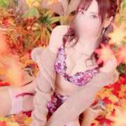 ヒメ日記 2026/01/20 16:30 投稿 西山　凛々子 白夜