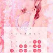 ヒメ日記 2026/02/11 19:01 投稿 西山　凛々子 白夜