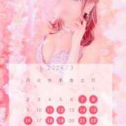 ヒメ日記 2026/02/12 19:02 投稿 西山　凛々子 白夜