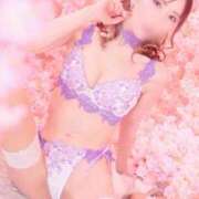 ヒメ日記 2026/02/23 08:33 投稿 西山　凛々子 白夜