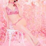 ヒメ日記 2026/02/28 13:18 投稿 西山　凛々子 白夜