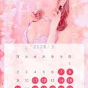 ヒメ日記 2026/03/02 23:45 投稿 西山　凛々子 白夜