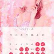 ヒメ日記 2026/03/03 08:16 投稿 西山　凛々子 白夜