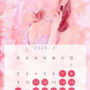 ヒメ日記 2026/03/07 19:01 投稿 西山　凛々子 白夜