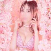 ヒメ日記 2026/03/21 10:38 投稿 西山　凛々子 白夜