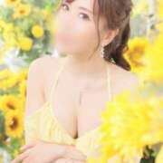 ヒメ日記 2026/04/11 10:52 投稿 西山　凛々子 白夜