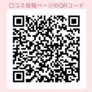 ヒメ日記 2026/04/14 11:20 投稿 西山　凛々子 白夜