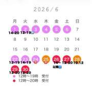 ヒメ日記 2026/05/17 23:28 投稿 西山　凛々子 白夜