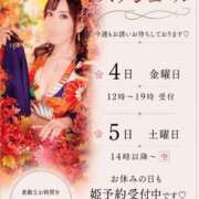 ヒメ日記 2026/09/01 21:29 投稿 西山　凛々子 白夜