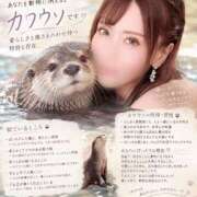 西山　凛々子 あなたを動物に例えたら？ 白夜