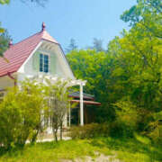 まき若奥 今週ラスト🐈‍⬛ 未熟な若奥