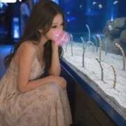 ヒメ日記 2026/07/28 12:29 投稿 あいか Lounge Yoki東京