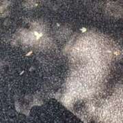 ヒメ日記 2025/08/14 22:10 投稿 由梨絵 マダム錦糸町