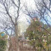 ヒメ日記 2025/02/05 22:31 投稿 綾 マダム錦糸町