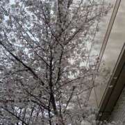 ヒメ日記 2025/04/03 13:45 投稿 綾 マダム錦糸町