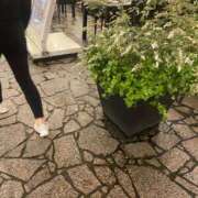 ヒメ日記 2025/05/18 02:45 投稿 綾 マダム錦糸町