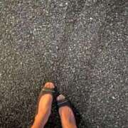 ヒメ日記 2025/06/14 03:15 投稿 綾 マダム錦糸町