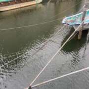 ヒメ日記 2025/09/20 18:20 投稿 綾 マダム錦糸町