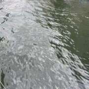 ヒメ日記 2025/11/09 12:50 投稿 綾 マダム錦糸町