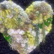 綾 綾です♥️ マダム錦糸町