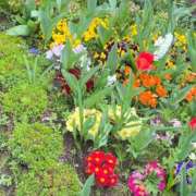 ヒメ日記 2026/03/31 23:50 投稿 綾 マダム錦糸町