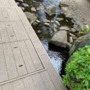 ヒメ日記 2026/04/15 08:50 投稿 綾 マダム錦糸町