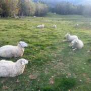 ヒメ日記 2025/12/18 20:13 投稿 あんな 人妻倶楽部 内緒の関係 越谷店