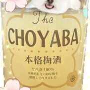 ヒメ日記 2026/04/16 20:33 投稿 あんな 人妻倶楽部 内緒の関係 越谷店