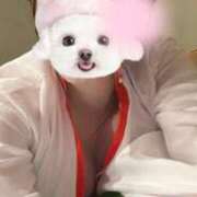 ヒメ日記 2026/03/12 09:04 投稿 伊沢みのり 川崎小町（川崎ハレ系）