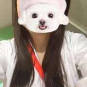 ヒメ日記 2026/03/15 21:23 投稿 伊沢みのり 川崎小町（川崎ハレ系）