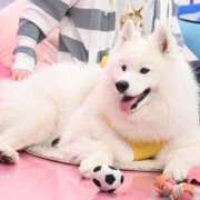 ヒメ日記 2025/05/22 21:16 投稿 ユヅキ マテリアル