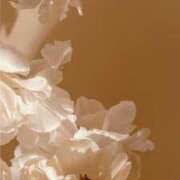 ヒメ日記 2025/05/29 00:01 投稿 ユヅキ マテリアル