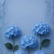 ヒメ日記 2025/05/31 23:31 投稿 ユヅキ マテリアル