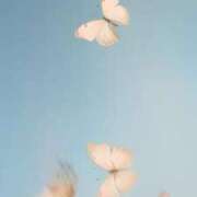 ヒメ日記 2025/06/02 11:01 投稿 ユヅキ マテリアル