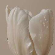 ヒメ日記 2025/06/03 21:31 投稿 ユヅキ マテリアル