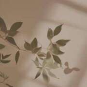 ヒメ日記 2025/06/04 08:01 投稿 ユヅキ マテリアル