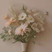 ヒメ日記 2025/06/29 08:46 投稿 ユヅキ マテリアル